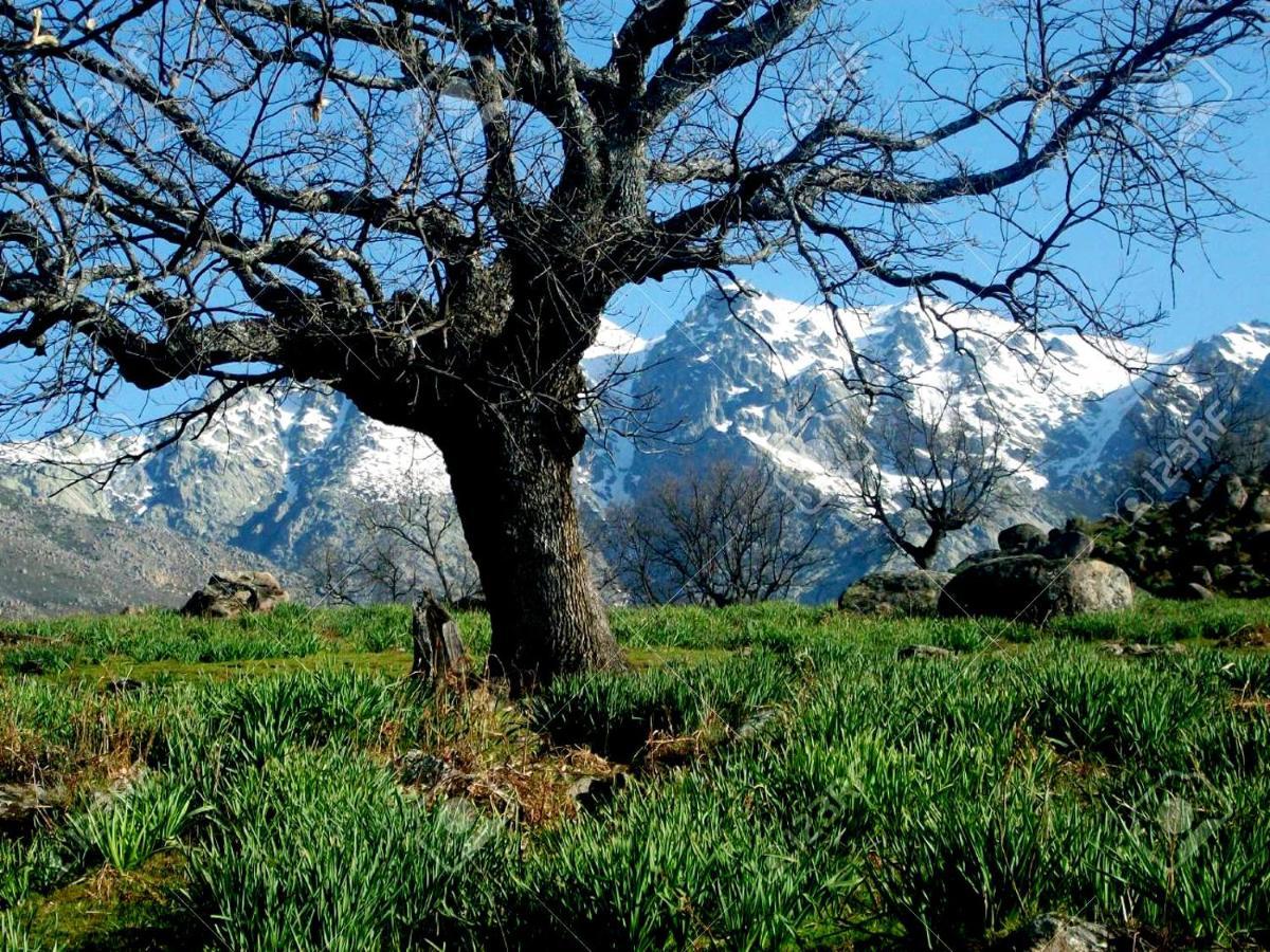 Casa Rural Alto Santiago Santiago del Collado Εξωτερικό φωτογραφία